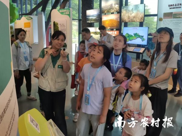融亿操盘 每年开展活动近800场！广东红树林湿地成为自然教育新课堂