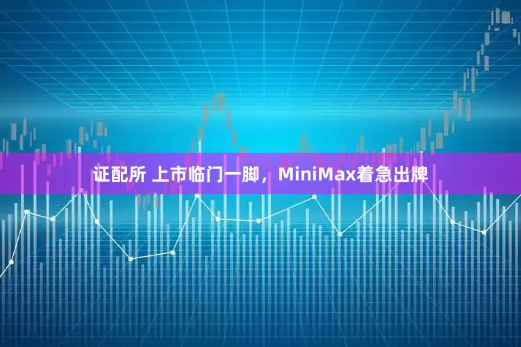 证配所 上市临门一脚，MiniMax着急出牌
