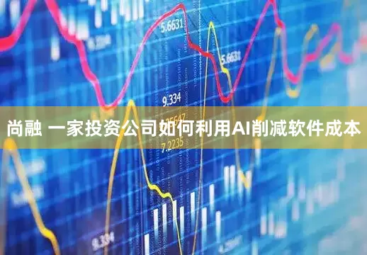 尚融 一家投资公司如何利用AI削减软件成本